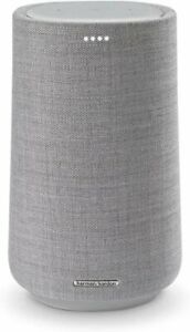 Harman Kardon Citation 100 (Grey) Wireless Speaker