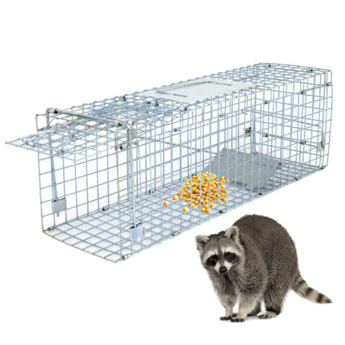 Humane Animal Trap Cage Live Rodent Control Skunk Rabbit Opossuml 24x8x7.5 Steel