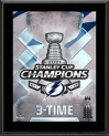 Sale! Tampa Bay Lightning 2021 Stanley Cup Champions 10.5″ x 13″ Item#11420267